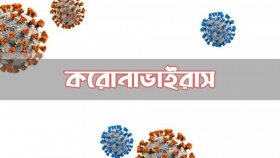 ২৪ ঘণ্টায় করোনায় আক্রান্ত ১৩ জন