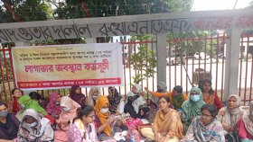 দাবি আদায় না করে ঘরে ফিরবেন না ‘তথ্য আপা’ প্রকল্পের কর্মীরা