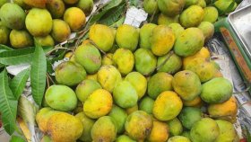 ভালো আম চেনার কিছু উপায় জেনে নিন