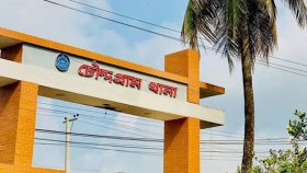 বিদ্যুৎস্পৃষ্টে প্রাণ গেলো ইলেকট্রিশিয়ানের