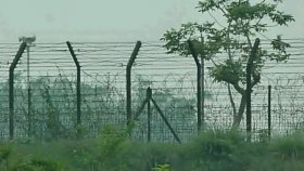 হরিপুর সীমান্ত দিয়ে অবৈধভাবে ২৩ জনকে বাংলাদেশে পাঠালো বিএসএফ