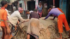 নির্ধারিত দামের অর্ধেকে চামড়া বিক্রি, লোকসানে মৌসুমি ব্যবসায়ীরা