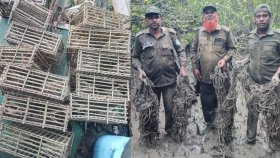 সুন্দরবন থেকে হরিণ শিকারের ৬০০ ফাঁদ জব্দ
