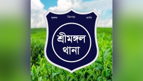 শ্রীমঙ্গল খাদ্যগুদামের সরকারি কোয়ার্টারে তালা ভেঙে চুরি
