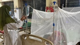 দাউদকান্দিতে ব্যাপক আকারে ছড়ালো ডেঙ্গু, আক্রান্তের হিসাবে বড় গরমিল