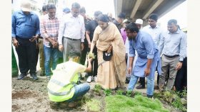 ঢাকায় ধুলা নিয়ন্ত্রণে ‘জিরো সয়েল’ কর্মসূচির উদ্বোধন