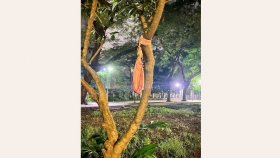 ঢাবির মলচত্বরে তরুণীর ফাঁস নেওয়ার চেষ্টা