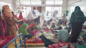 বরগুনায় বেড়েই চলেছে ডেঙ্গু রোগী, হাসপাতালে জায়গা নেই