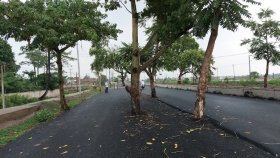 ১০০ কোটি রুপি ব্যয়ে নির্মিত সড়কের মাঝখানে একাধিক গাছ!