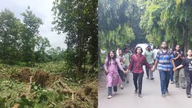 জাহাঙ্গীরনগর বিশ্ববিদ্যালয়ে কেটে ফেলা হলো অর্ধশতাধিক গাছ, প্রতিবাদে বিক্ষোভ