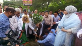 বিএমইউতে ‘জুলাই গণঅভ্যুত্থান মাসের’ র‌্যালি ও বৃক্ষরোপণ কর্মসূচি
