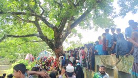 শতবর্ষী গাছের গোড়ায় জ্বলছে আগুন, ডাল দিয়ে বের হচ্ছে ধোঁয়া!