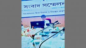 ‘দেশের ৩২টি বিমা কোম্পানি উচ্চ ঝুঁকিতে’