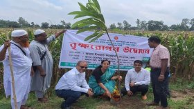 ঠাকুরগাঁওয়ে ৩ দিনব্যাপী বৃক্ষরোপণ কার্যক্রম