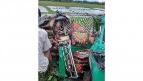 বাসচাপায় সিএনজি অটোরিকশার ৩ যাত্রী নিহত
