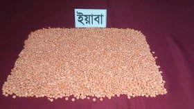 কুষ্টিয়ায় যাত্রীবাহী বাসে মিললো ২৯ লাখ টাকার ইয়াবা
