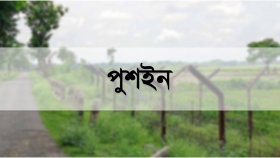 নওগাঁ সীমান্ত দিয়ে ১৮ বাংলাদেশিকে পুশইন করলো বিএসএফ