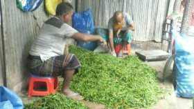 ৮০ টাকায় আমদানি করা কাঁচা মরিচের কেজি বাজারে ৩০০