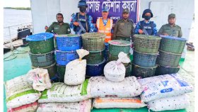 সুন্দরবনসংলগ্ন এলাকা থেকে ৮৫০ কেজি কাকড়া জব্দ