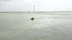 নেত্রকোনায় স্পিডবোট উল্টে নিখোঁজ ৪