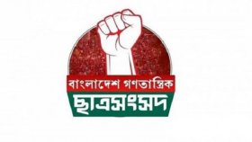 বছর না ঘুরতেই পুনর্গঠনের মুখে বাগছাস