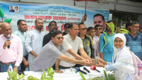 তারেক রহমানের পক্ষে শিক্ষক ও শিক্ষার্থীদের মাঝে গাছের চারা বিতরণ