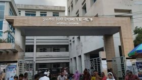 ঝোপঝাঁড় পরিষ্কার করার সময় ভিমরুলের কামড়ে মৃত্যু