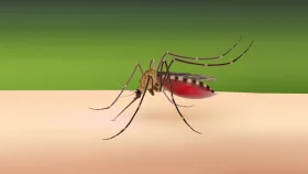 ডেঙ্গুতে আরও ৫ মৃত্যু, একদিনে হাসপাতালে ১৮৭২