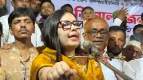 প্রত্যেকটা উপদেষ্টা বিদেশি নাগরিক, গণ্ডগোল লাগলেই চলে যেতে পারবে: রুমিন ফারহানা