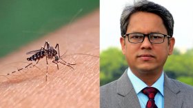 ডেঙ্গুর ঢেউ জানুয়ারি পর্যন্ত থাকবে, নিয়ন্ত্রণ আরও কঠিন করে তুলবে
