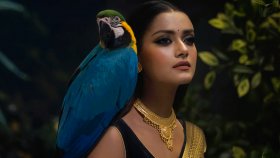 গিফট নিয়ে হয়ে গেলাম প্রতারক: তিশা