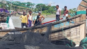 ইলিশ ধরার ২২ দিনের নিষেধাজ্ঞা শেষ হচ্ছে আজ