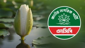 ‘ফুল’ চেয়ে ‘শাপলার কলি’, অসন্তুষ্ট এনসিপি