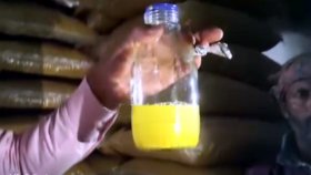 রঙ মেশানো ১২ হাজার কেজি মুগডাল জব্দ