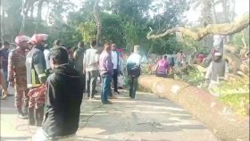 ঢাকা-বরিশাল মহাসড়কে ৪ ঘণ্টা পর যান চলাচল স্বাভাবিক