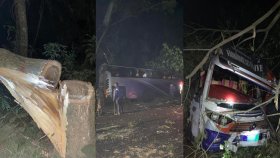 গোপালগঞ্জে গাছ ফেলে মহাসড়ক অবরোধ আ.লীগের, দেড় ঘণ্টা যান চলাচল বন্ধ