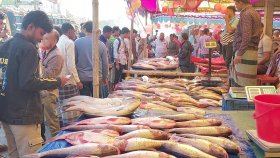 জামাই মেলায় একদিনে কোটি টাকার মাছ বিক্রি