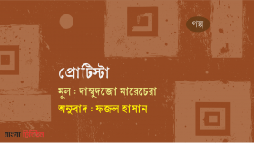 দাম্বুদজো মারেচেরার গল্প 'প্রোটিস্টা'