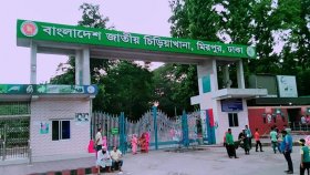 মিরপুর চিড়িয়াখানার খাঁচা থেকে বেরিয়ে গেছে সিংহ