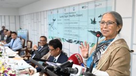 ‘মাছ বাণিজ্যিক পণ্যই নয়, মানুষের খাদ্য নিরাপত্তার সঙ্গে সম্পৃক্ত’