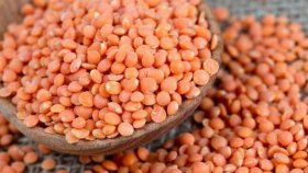 ১০ হাজার মেট্রিক টন মসুর ডাল কেনার সিদ্ধান্ত