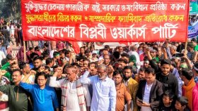একটি মহল নির্বাচন বানচালের চেষ্টা করছে: সাইফুল হক