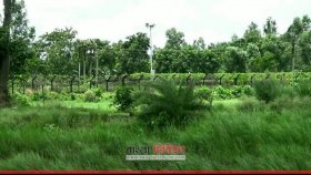 সিলেট সীমান্তে ভারতীয়দের গুলিতে দুই তরুণ নিহত 