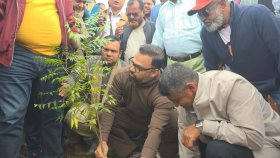 তারেক রহমানের সংবর্ধনাস্থলে নতুন চারা রোপণ করলো বিএনপি  
