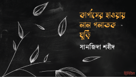 কার্পাসের হাওয়ায় লাল পলাতক ঘুড়ি