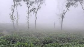 মৌলভীবাজারে হিমেল হাওয়ায় হাড়কাঁপানো শীত