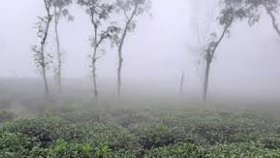 চার-দিন ধরে দেশের সর্বনিম্ন তাপমাত্রা শ্রীমঙ্গলে