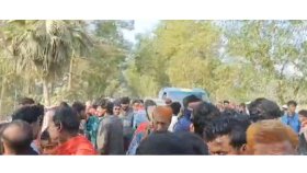অটোভ্যানে ট্রাকচাপা: স্বামী-স্ত্রী নিহত, গুরুতর আহত ৪