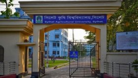 সিলেট কৃষি বিশ্ববিদ্যালয়ে শিক্ষকদের মধ্যে মারামারি, একজন আহত