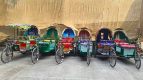 ছয় অটোরিকশাসহ ২ জন গ্রেফতার